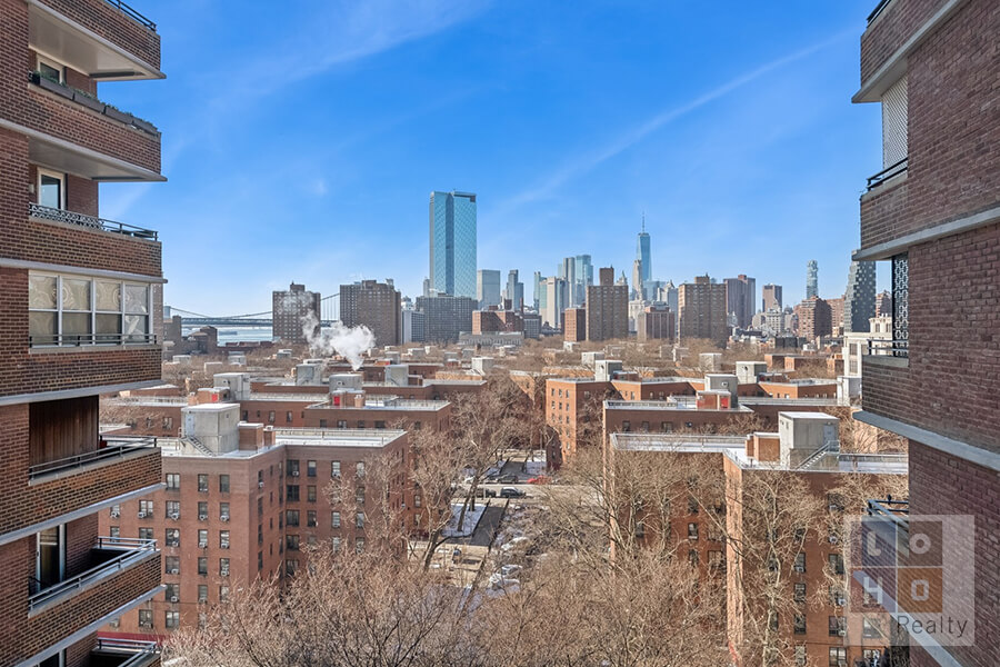 575 Grand Street 1105 Lower East Side New York NY 10002